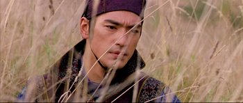 Movie still from “House of Flying Daggers” (2004), directed by Yimou Zhang – A person in a field; Close Up shot, Over the shoulder angle
