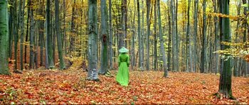Movie still from “House of Flying Daggers” (2004), directed by Yimou Zhang – A woman in a green dress walking through the woods; Wide shot, High angle