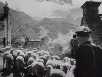 Movie still from “How Green Was My Valley” (1941), directed by John Ford – Black and white photograph of a herd of sheep; Wide shot, Low angle