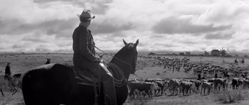 Movie still from “Hud” (1963), directed by Martin Ritt – A man on a horse herds a herd of cattle; Wide shot, Low angle