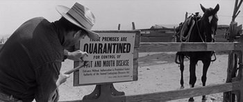 Movie still from “Hud” (1963), directed by Martin Ritt – An old photo of a man looking at a sign; Medium shot, Low angle