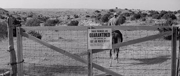 Movie still from “Hud” (1963), directed by Martin Ritt – A man on a horse in a fenced in field; Wide shot, Low angle