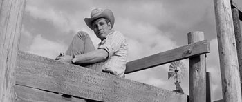 Movie still from “Hud” (1963), directed by Martin Ritt – A man sitting on top of a wooden fence; Medium shot, Low angle