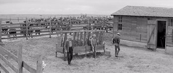 Movie still from “Hud” (1963), directed by Martin Ritt – A group of men standing next to each other in a field; Wide shot, Low angle