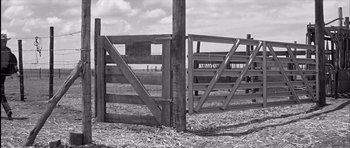 Movie still from “Hud” (1963), directed by Martin Ritt – An open gate in the middle of an open field; Wide shot, Low angle