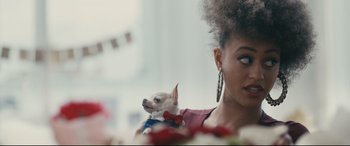 Movie still from “Hustlers” (2019), directed by Lorene Scafaria – A woman holding a small dog in her arms; Close Up shot, Over the shoulder angle