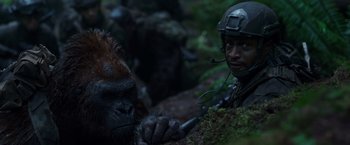 Movie still from “War for the Planet of the Apes” (2017), directed by Matt Reeves – A man and a gorilla in the woods; Close Up shot, Low angle