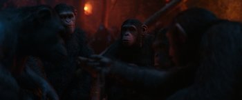 Movie still from “War for the Planet of the Apes” (2017), directed by Matt Reeves – A group of chimpanzees standing together in a forest; Medium shot, Low angle