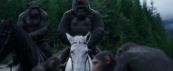 Movie still from “War for the Planet of the Apes” (2017), directed by Matt Reeves – A gorilla riding a horse in the woods; Medium shot, Low angle