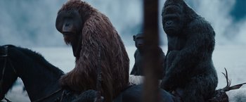 Movie still from “War for the Planet of the Apes” (2017), directed by Matt Reeves – A group of gorilla sitting next to each other on a field; Close Up shot, Low angle