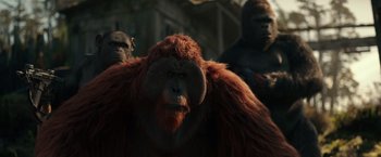 Movie still from “War for the Planet of the Apes” (2017), directed by Matt Reeves – A gorilla with two other apes in the background; Close Up shot, Low angle