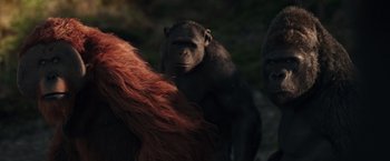 Movie still from “War for the Planet of the Apes” (2017), directed by Matt Reeves – A group of monkeys standing next to each other; Close Up shot, Over the shoulder angle