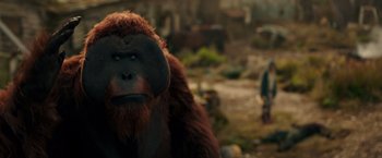Movie still from “War for the Planet of the Apes” (2017), directed by Matt Reeves – An orangutan that is standing in the dirt; Close Up shot, Low angle