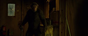 Movie still from “War for the Planet of the Apes” (2017), directed by Matt Reeves – A monkey that is standing in the dark; Medium shot, Low angle