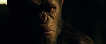 Movie still from “War for the Planet of the Apes” (2017), directed by Matt Reeves – The face of an ape; Close Up shot, Low angle