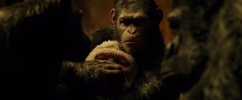 Movie still from “War for the Planet of the Apes” (2017), directed by Matt Reeves – A monkey holding a baby monkey in his arms; Close Up shot, Over the shoulder angle