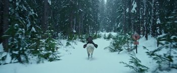 Movie still from “War for the Planet of the Apes” (2017), directed by Matt Reeves – A dog running through the snow in the woods; Wide shot, High angle