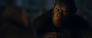 Movie still from “War for the Planet of the Apes” (2017), directed by Matt Reeves – An ape in a dark room; Close Up shot, Low angle