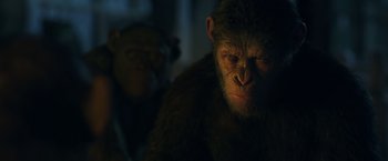 Movie still from “War for the Planet of the Apes” (2017), directed by Matt Reeves – The face of an ape in a dark room; Close Up shot, Low angle