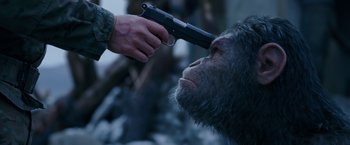 Movie still from “War for the Planet of the Apes” (2017), directed by Matt Reeves – A man holding a gun to a gorilla's face; Close Up shot, Over the shoulder angle