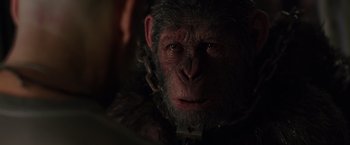 Movie still from “War for the Planet of the Apes” (2017), directed by Matt Reeves – An animal's face in a dark room; Close Up shot, Over the shoulder angle