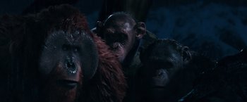 Movie still from “War for the Planet of the Apes” (2017), directed by Matt Reeves – A monkey with other monkeys in the background; Close Up shot, Low angle