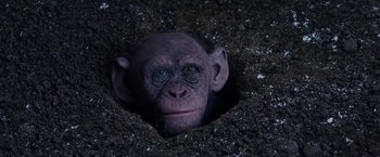Movie still from “War for the Planet of the Apes” (2017), directed by Matt Reeves – A monkey is poking its head out of a hole; Close Up shot, High angle
