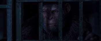 Movie still from “War for the Planet of the Apes” (2017), directed by Matt Reeves – An ape looking through a cage; Close Up shot, High angle