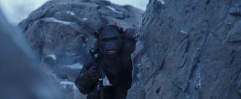 Movie still from “War for the Planet of the Apes” (2017), directed by Matt Reeves – A chimpanzee that is climbing up a rock wall; Medium shot, Low angle