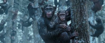 Movie still from “War for the Planet of the Apes” (2017), directed by Matt Reeves – A chimpanzees mother holding a baby in her arms; Medium shot, High angle