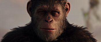 Movie still from “War for the Planet of the Apes” (2017), directed by Matt Reeves – The face of an ape; Close Up shot, Low angle