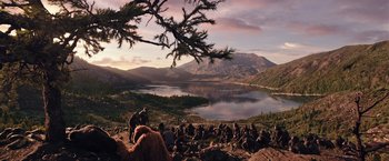 Movie still from “War for the Planet of the Apes” (2017), directed by Matt Reeves – Many animals that are sitting on the ground; Extreme Wide shot, High angle