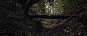 Movie still from “Lady Macbeth” (2016), directed by William Oldroyd – An old man in a dark wooded area; Extreme Wide shot, High angle