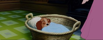 Movie still from “Lady and the Tramp” (1955), directed by Clyde Geronimi – A dog is sleeping in a basket with a blanket; Medium shot, High angle