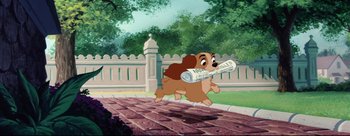 Movie still from “Lady and the Tramp” (1955), directed by Clyde Geronimi – A dog is running with a newspaper in its mouth; Wide shot, High angle