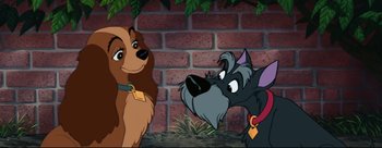 Movie still from “Lady and the Tramp” (1955), directed by Clyde Geronimi – A dog and a cat looking at one another; Close Up shot, Over the shoulder angle