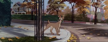 Movie still from “Lady and the Tramp” (1955), directed by Clyde Geronimi – A dog standing on top of a sidewalk near a tree; Wide shot, Low angle