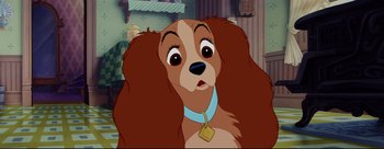 Movie still from “Lady and the Tramp” (1955), directed by Clyde Geronimi – A dog that has a collar around it's neck; Close Up shot, High angle