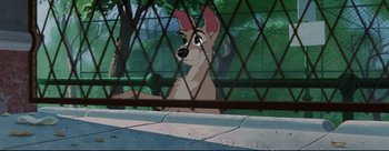 Movie still from “Lady and the Tramp” (1955), directed by Clyde Geronimi – A dog sitting on the ground behind a fence; Wide shot, Low angle
