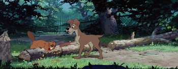 Movie still from “Lady and the Tramp” (1955), directed by Clyde Geronimi – A dog standing in the grass near a tree; Wide shot, Low angle