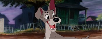 Movie still from “Lady and the Tramp” (1955), directed by Clyde Geronimi – A cartoon of a dog with its mouth wide open; Close Up shot, Low angle