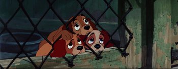 Movie still from “Lady and the Tramp” (1955), directed by Clyde Geronimi – Three cartoon dogs looking through a chain link fence; Wide shot, High angle