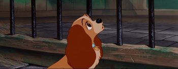 Movie still from “Lady and the Tramp” (1955), directed by Clyde Geronimi – A dog that is sitting down looking up; Close Up shot, Low angle