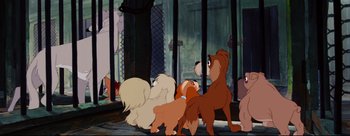 Movie still from “Lady and the Tramp” (1955), directed by Clyde Geronimi – A group of dogs standing next to each other in a room; Wide shot, Low angle