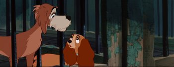Movie still from “Lady and the Tramp” (1955), directed by Clyde Geronimi – Lady and the tramp in a forest scene; Close Up shot, Low angle