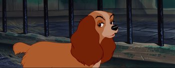 Movie still from “Lady and the Tramp” (1955), directed by Clyde Geronimi – A dog with a long , black , brown , and white hair style; Close Up shot, High angle