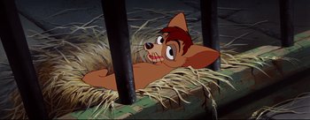 Movie still from “Lady and the Tramp” (1955), directed by Clyde Geronimi – A dog laying on top of a pile of hay; Medium shot, High angle