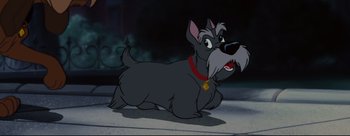 Movie still from “Lady and the Tramp” (1955), directed by Clyde Geronimi – A dog that is standing up in the dirt; Close Up shot, Low angle