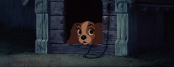 Movie still from “Lady and the Tramp” (1955), directed by Clyde Geronimi – A dog with a chain around its neck is peeking out of a window; Close Up shot, Low angle