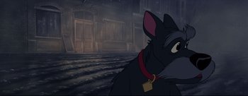 Movie still from “Lady and the Tramp” (1955), directed by Clyde Geronimi – A black cat with a red collar is looking out a window; Close Up shot, High angle